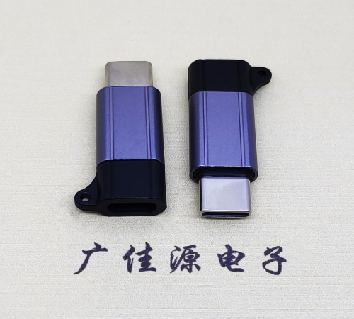 重庆Type-C母转Type-C公 USB3.1 PD100W快冲接口